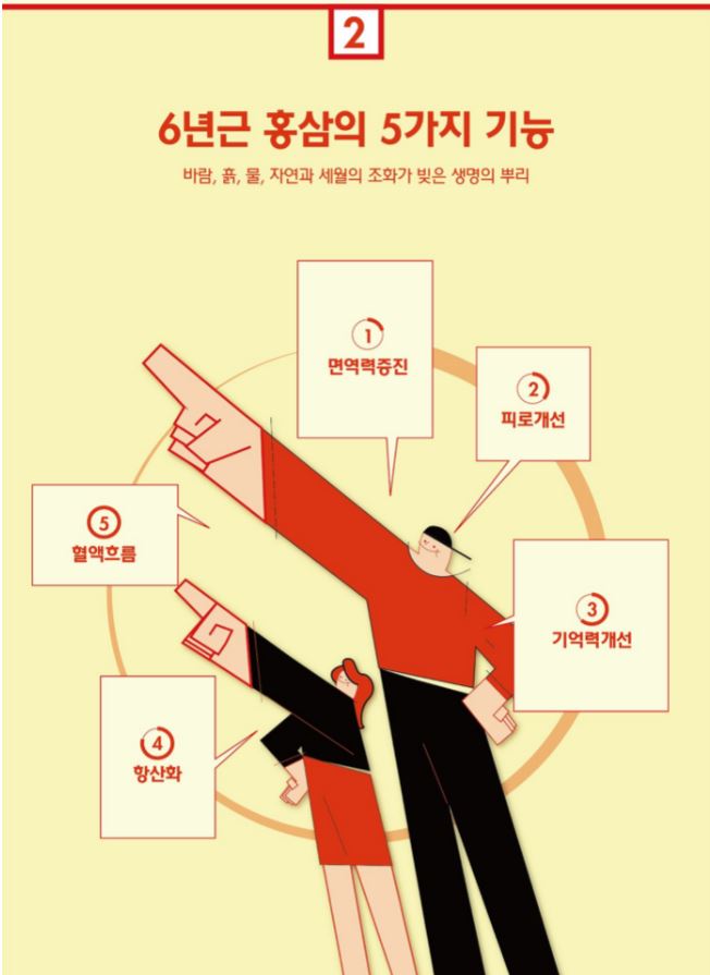 korean red ginseng stick daily health supplement 