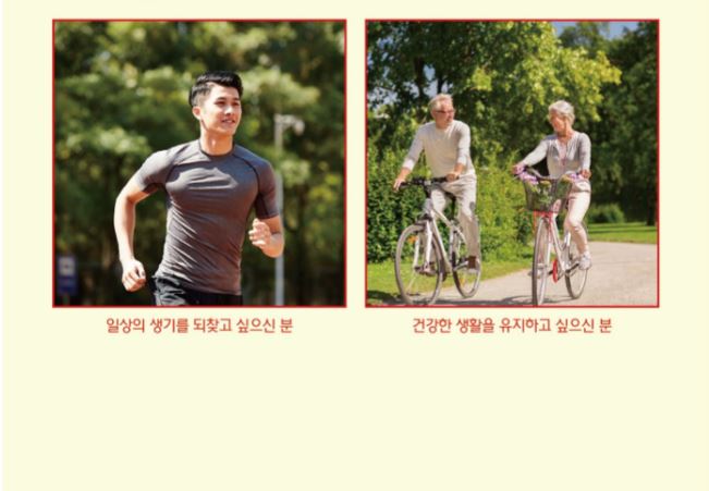 korean red ginseng stick daily health supplement 