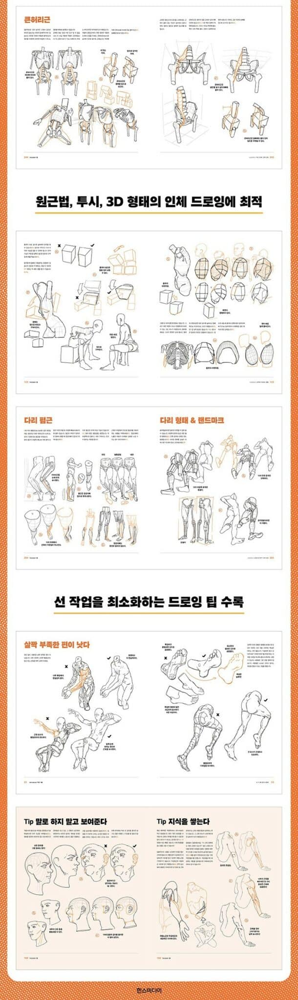 Anatomy For Artists: Drawing Form & Pose