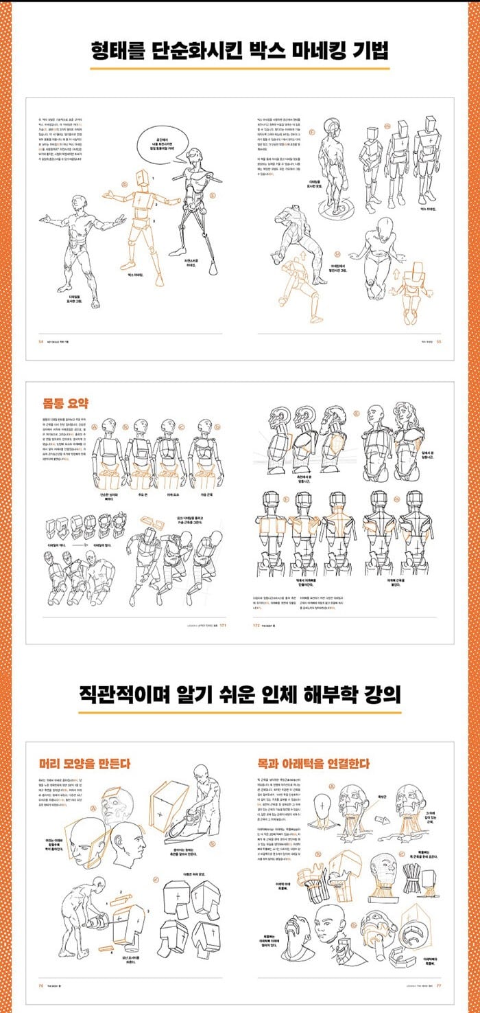 Anatomy For Artists: Drawing Form & Pose