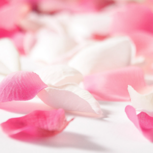 Blossom by H MIRACLE Flavor Solid Perfume 5g 15g 100% floral bouquet Made in Korea Hand Made Insadong Handmade Seoul