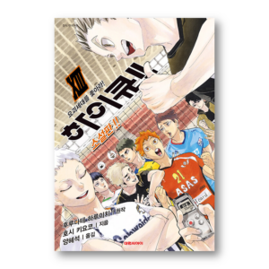 Haikyu!! Light Novel