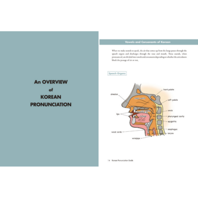 Korean Pronunciation Guide - How to Sound Like a Korean - Now In Seoul