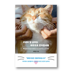 Welcome To Jeju, Where Cat Fur Flies!
