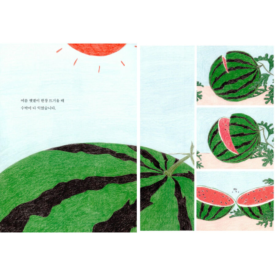 [KOREAN PICTURE BOOK] Watermelon Pool, 수박 수영장 - Now In Seoul