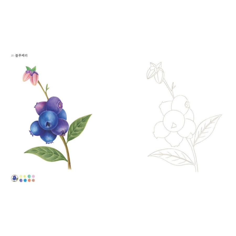 The Easier Botanical Art Coloring Book: Flowers and Berries - Now In Seoul