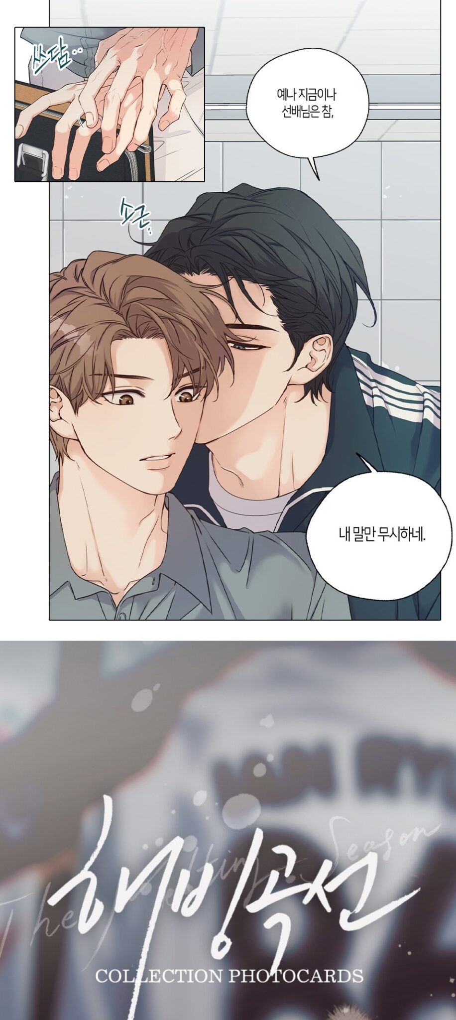 Melting Point