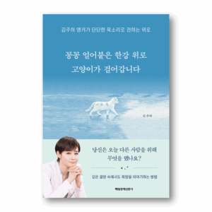 A Cat Walks Across the Frozen Han River, 꽁꽁 얼어붙은 한강 위로 고양이가 걸어갑니다, Korean Essay
