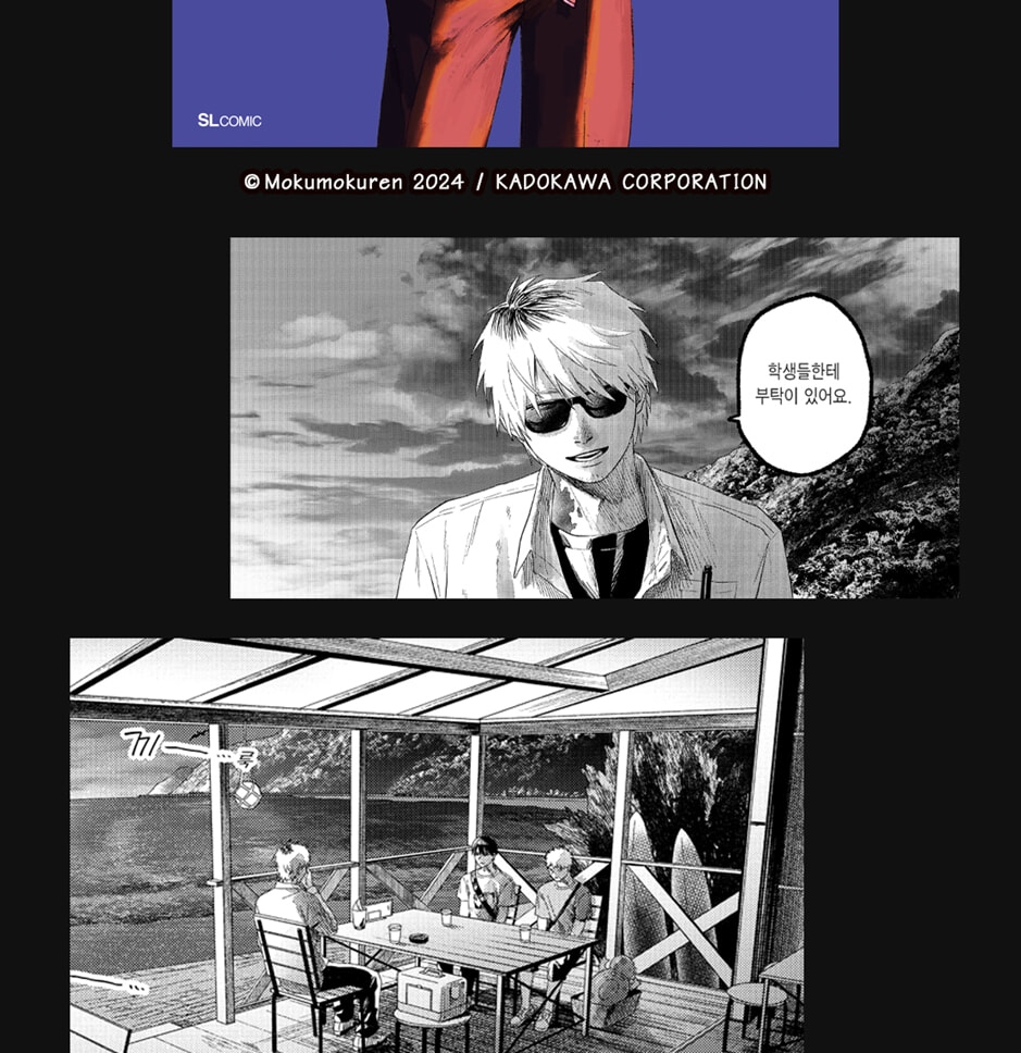 The Summer Hikaru Died