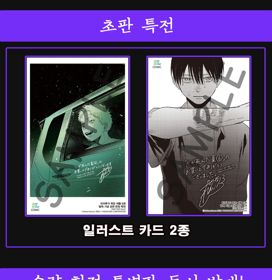 The Summer Hikaru Died