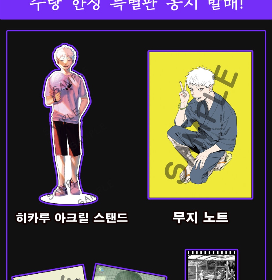 The Summer Hikaru Died