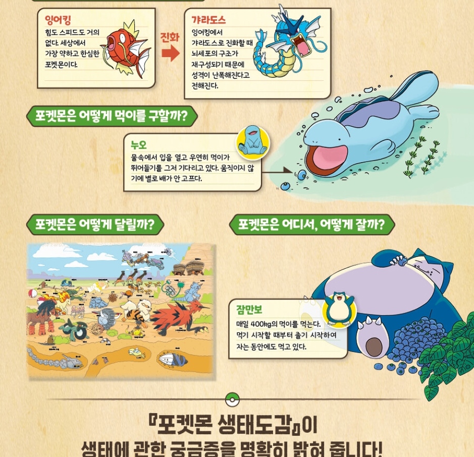 Pokécology An Illustrated Guide to Pokémon Ecology