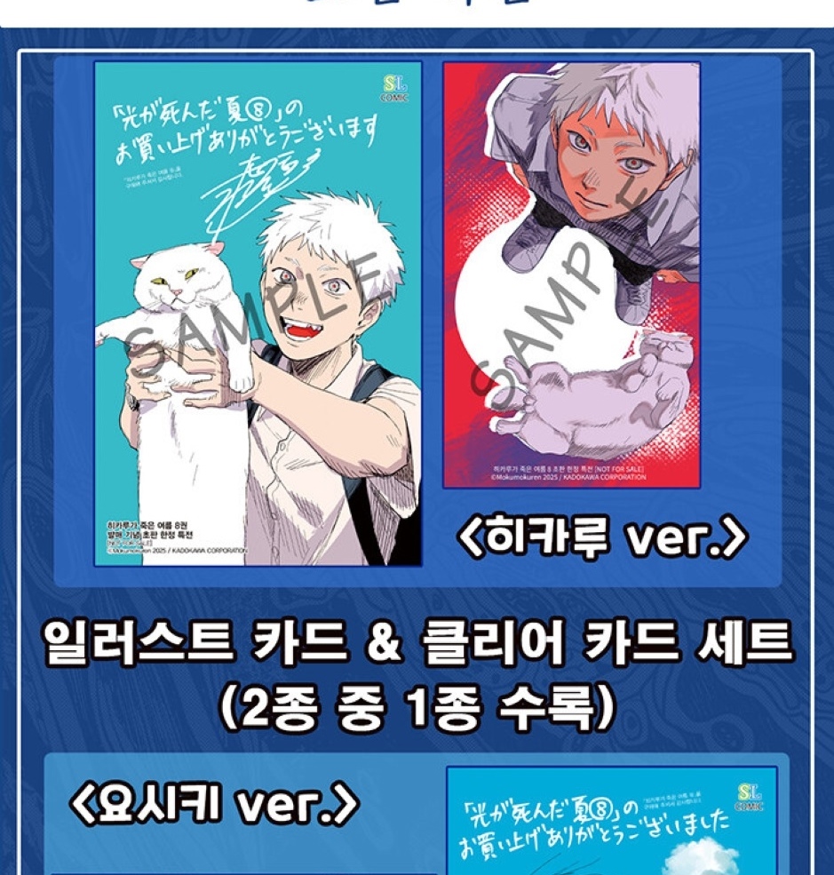 The Summer Hikaru Died