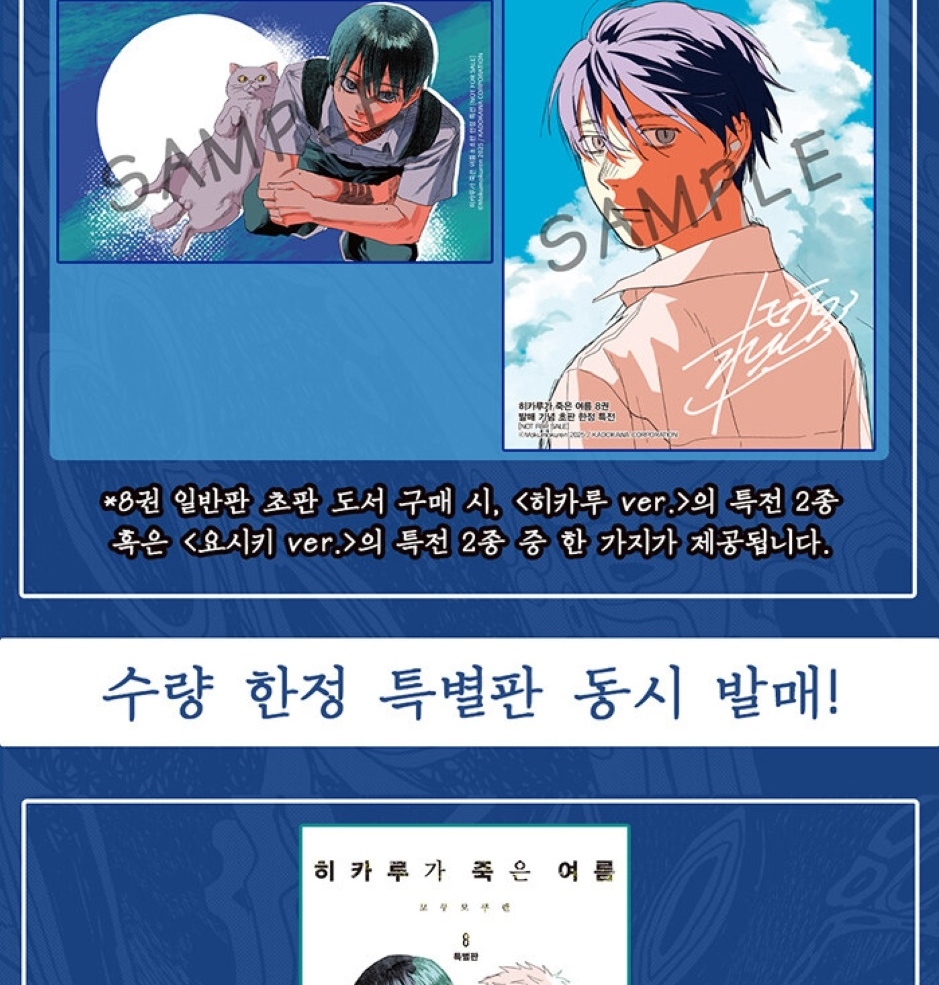 The Summer Hikaru Died