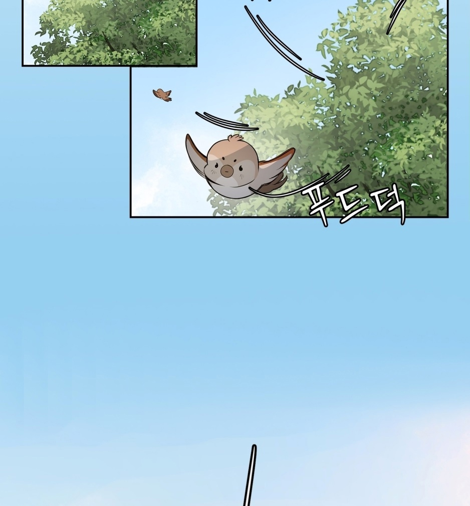 Run Like A Dog