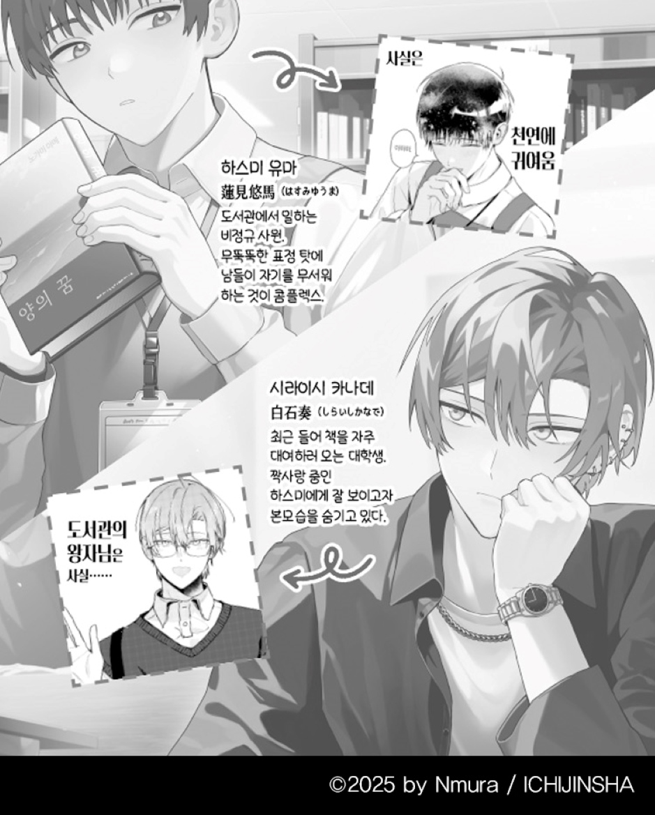 The Intellectual Guy And The Librarian