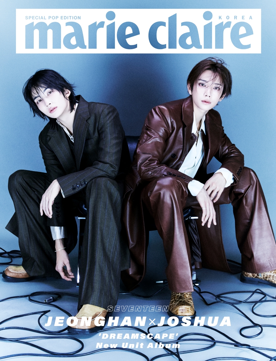 SEVENTEEN JEONGHAN, JOSHUA