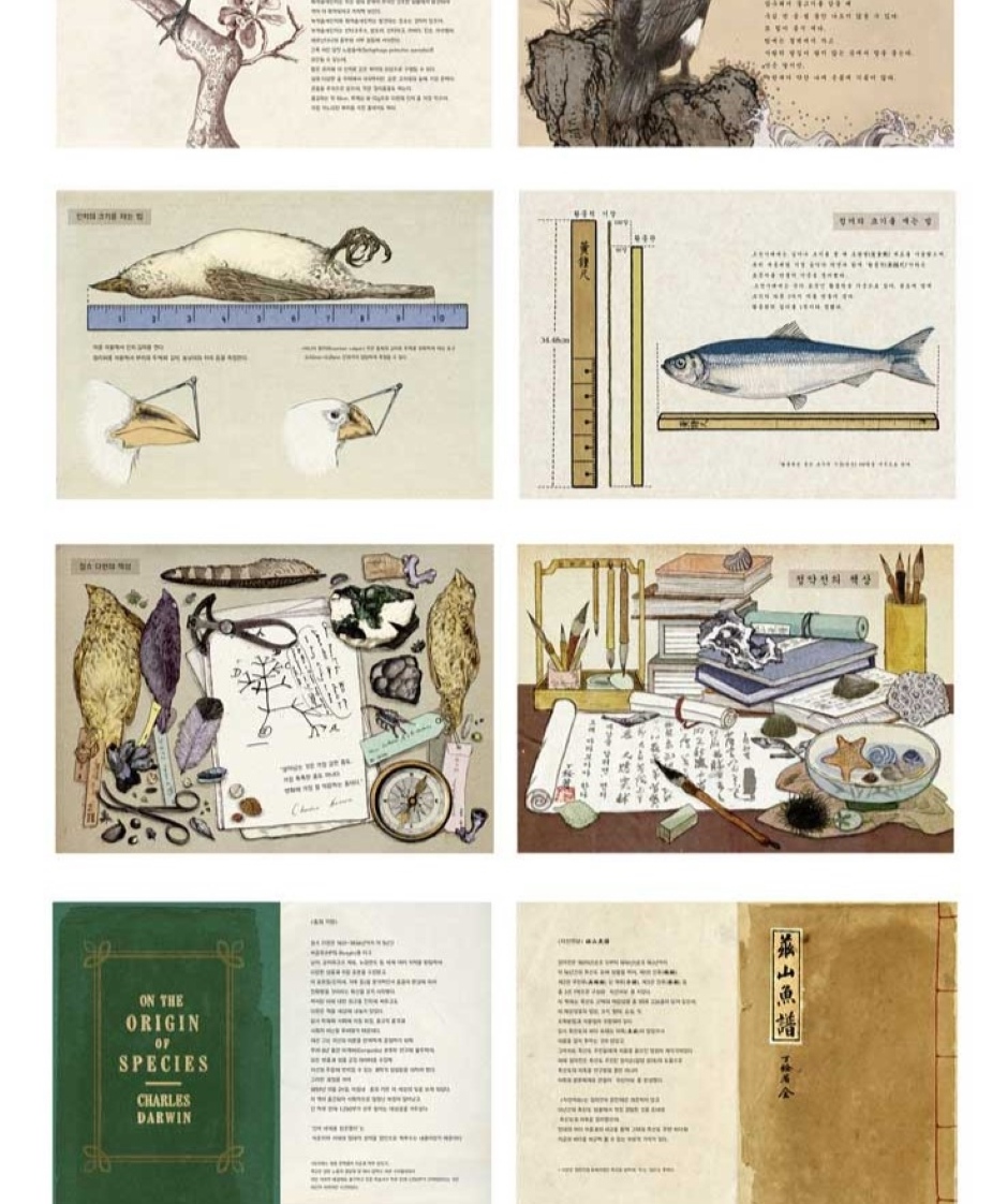 Finch and Herring